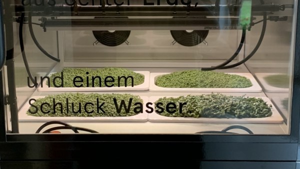 Kräuter wachsen hinter Glas unter LED-Licht, bewässert mit schwarzen Schläuchen