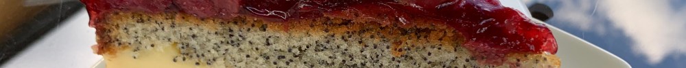 Appetitanreger
