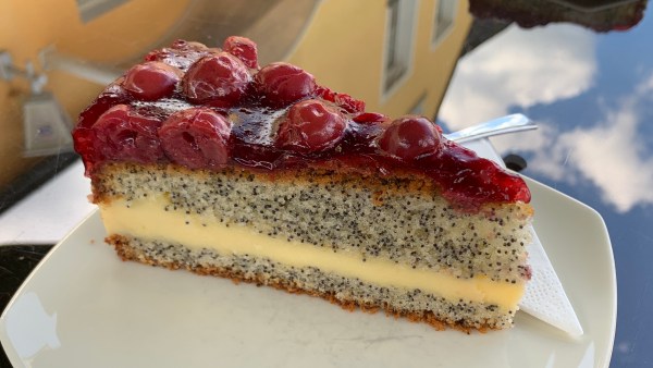 Stück Torte mit Kirsch-Topping auf einem weißen Teller. Teig mit Mohn und einer Schicht Pudding-Füllung.