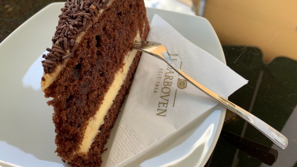 Schoko-torte mit Fruchtfüllung und einer Schicht Pudding. und Schokostreuseltopping auf weißem Teller mit Serviette. In dem Kuchenstück steckt eine Kuchengabel.